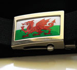 devanet welsh flag buckle